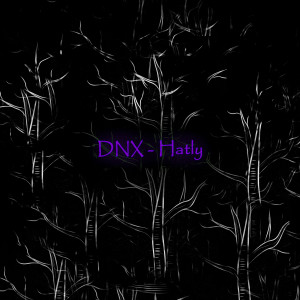 Album Hatly from DNX