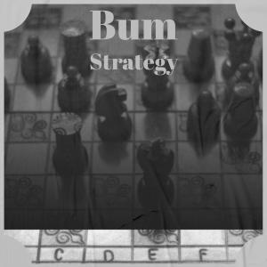 Album Bum Strategy oleh Various