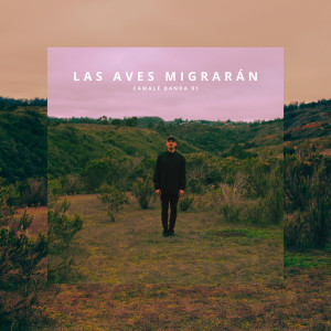 ดาวน์โหลดและฟังเพลง Las Aves Migrarán พร้อมเนื้อเพลงจาก Camalé