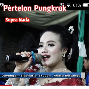 Album Pertelon Pungkruk from Erin Sabrina