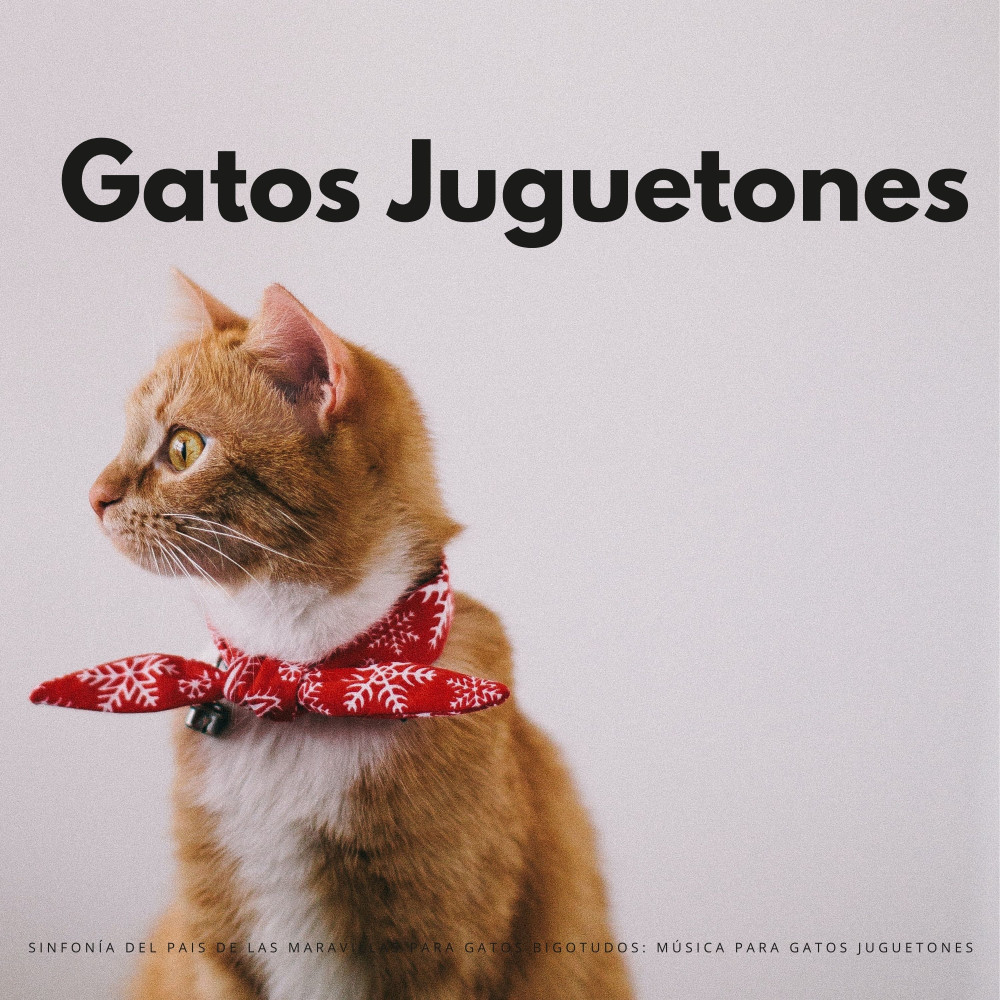 Fantasía Fandango Para Los Felinos
