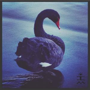收聽Schiermann的Amarantine (feat. Acle Kahney & Mike Malyan)歌詞歌曲