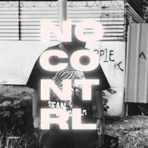 Amoray的專輯No Control