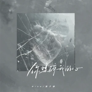 Listen to 你揉碎我的心 song with lyrics from NINE