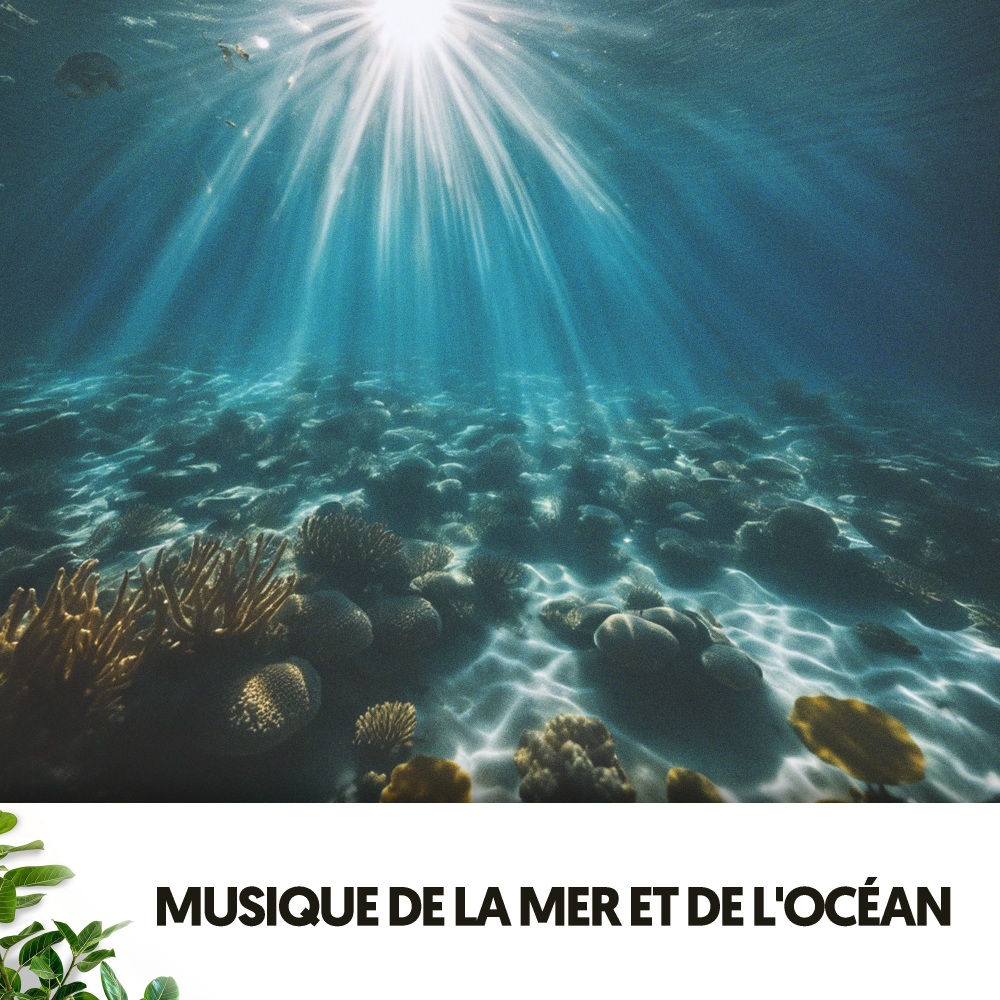 Sons de douche réconfort