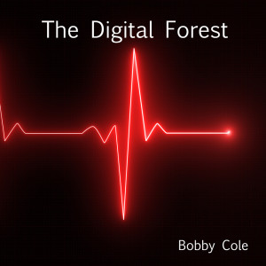 收聽Bobby Cole的Immortal Fields歌詞歌曲