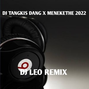 Listen to DJ TANGKIS DANG / MENEKETHE 2022 song with lyrics from DJ LEO REMIX