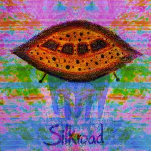 Listen to SILKROAD (feat. RickettoFromDaGhetto) song with lyrics from plumpy