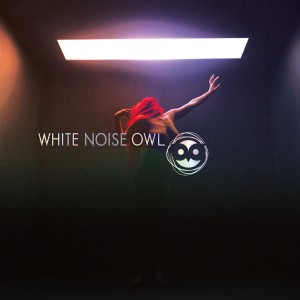 ดาวน์โหลดและฟังเพลง Maybe Its Time พร้อมเนื้อเพลงจาก White Noise Owl