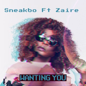 Album Wanting You oleh Sneakbo