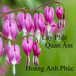Album Lạy Phật Quan Âm from 