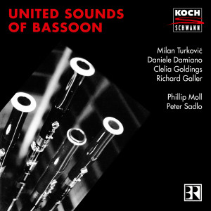 Daniele Damiano的專輯United Sounds of Bassoon