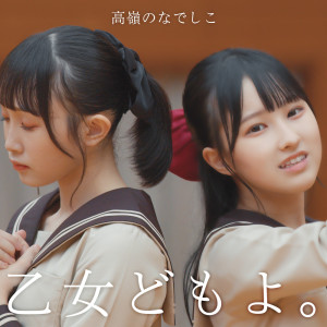 收聽TAKANE NO NADESHIKO的乙女どもよ。歌詞歌曲