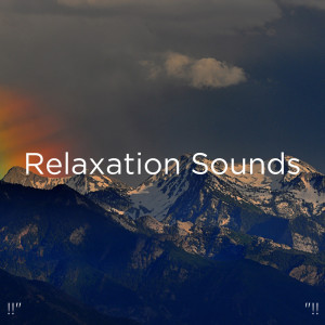 ดาวน์โหลดและฟังเพลง Muziek Om Stress Te Verlichten พร้อมเนื้อเพลงจาก Meditation Rain Sounds