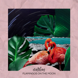 Album flamingos on the moon from Aebleo