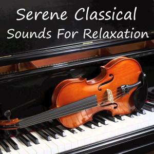 Listen to Hazy Shade of Winter song with lyrics from Royal Philharmonic Orchestra