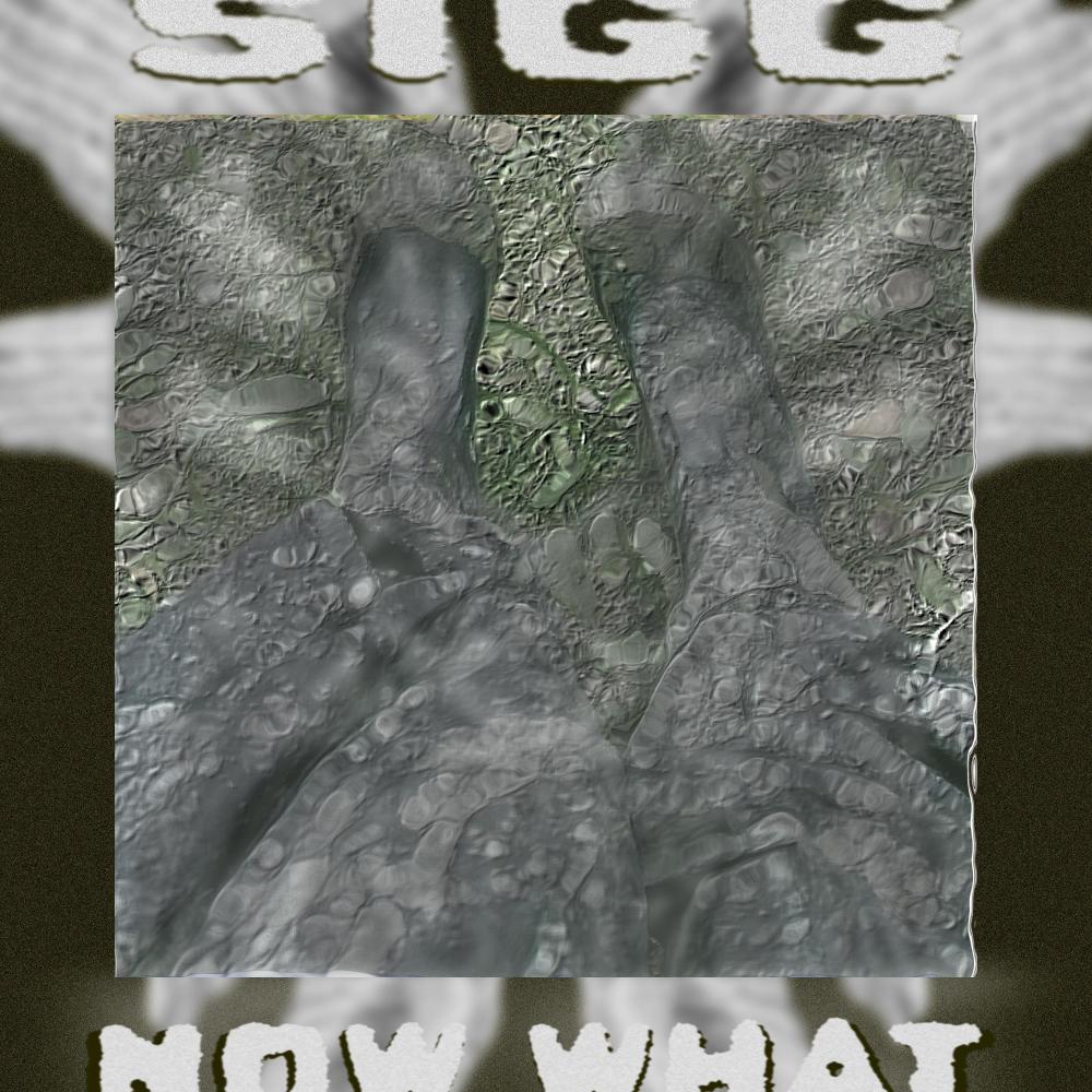 Whole (Explicit)