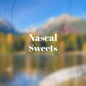 Listen to Minnesota Smasher song with lyrics from Dilia Guna