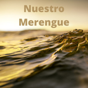Listen to Otra Como Tu song with lyrics from Toño Rosario