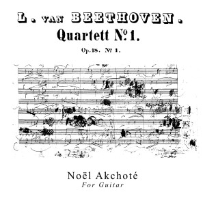 Listen to No. 4b in D Minor, Allegro (Arr. for Guitar by Noël Akchoté) song with lyrics from Noel Akchote