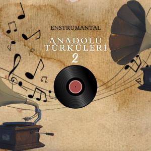 Listen to Iğdır'ın Al Alması song with lyrics from Gürkan Tuğrul
