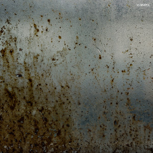 Dengarkan lagu Green Genes nyanyian Quadrumana dengan lirik