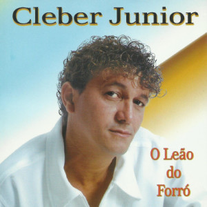 收聽Cleber Junior的Ela Não Está Aqui歌詞歌曲