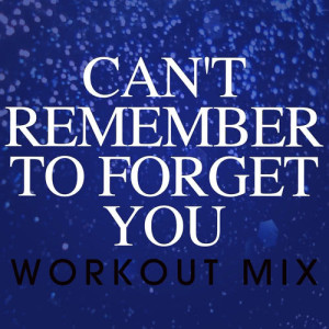 Can't Remember to Forget You - Single