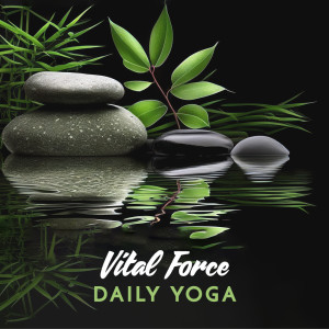 Core Power Yoga Universe的專輯Vital Force (Daily Yoga & Tai Chi, Gentle Sounds)