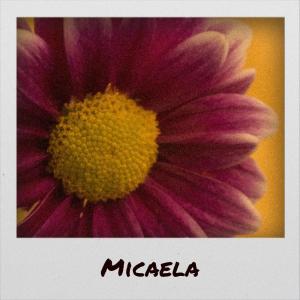 ดาวน์โหลดและฟังเพลง Teenaged Moron พร้อมเนื้อเพลงจาก Desmon Laul