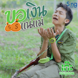 Listen to ขอเงินแน่แม่ song with lyrics from เต๊ะ ตระกูลตอ