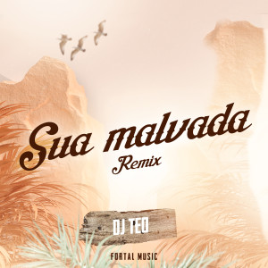 Album Sua Malvada (Remix) oleh DJ Teo