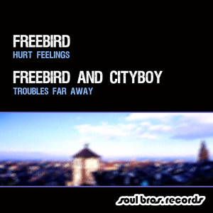 Freebird的專輯Hurt Feelings / Troubles Far Away