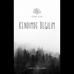 CINO CICI的專輯Kendimde Degilim (Explicit)