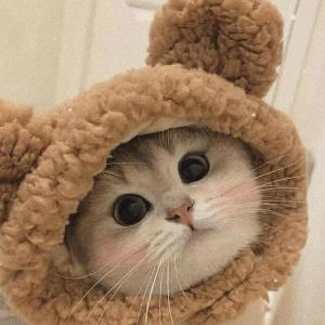 Dengarkan BUBBLEGUM lagu dari OBLXKQ dengan lirik