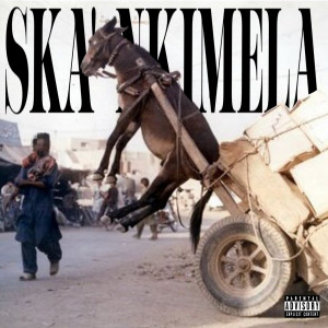 Tshego的专辑SKA' NKIMELA (Explicit)