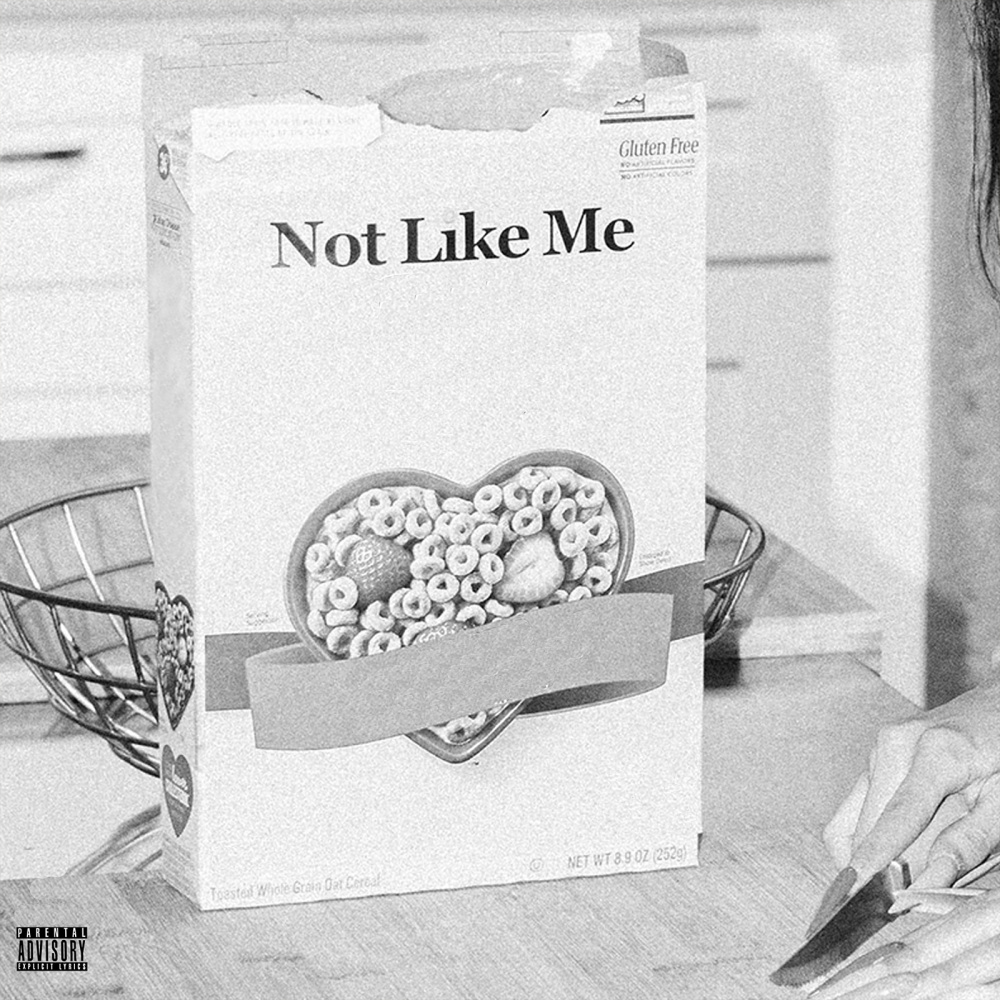 Not Like Me (Explicit)