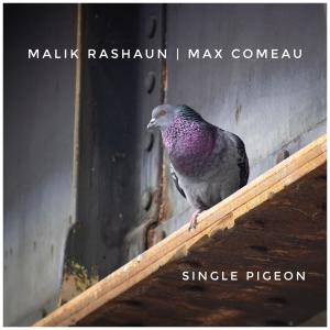 Max Comeau的專輯Single Pigeon