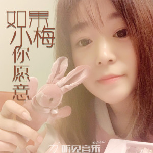 收聽李男的如果小梅你願意 (伴奏)歌詞歌曲