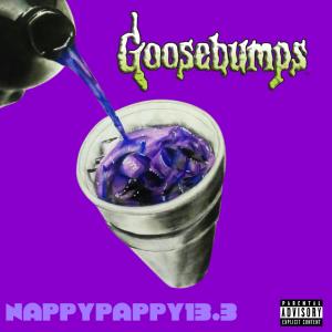 Nappy pappy13.3的專輯Goosebumps (Explicit)