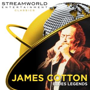 James Cotton Blues Legends