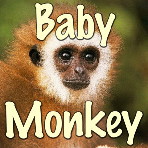Blob的專輯Baby Monkey
