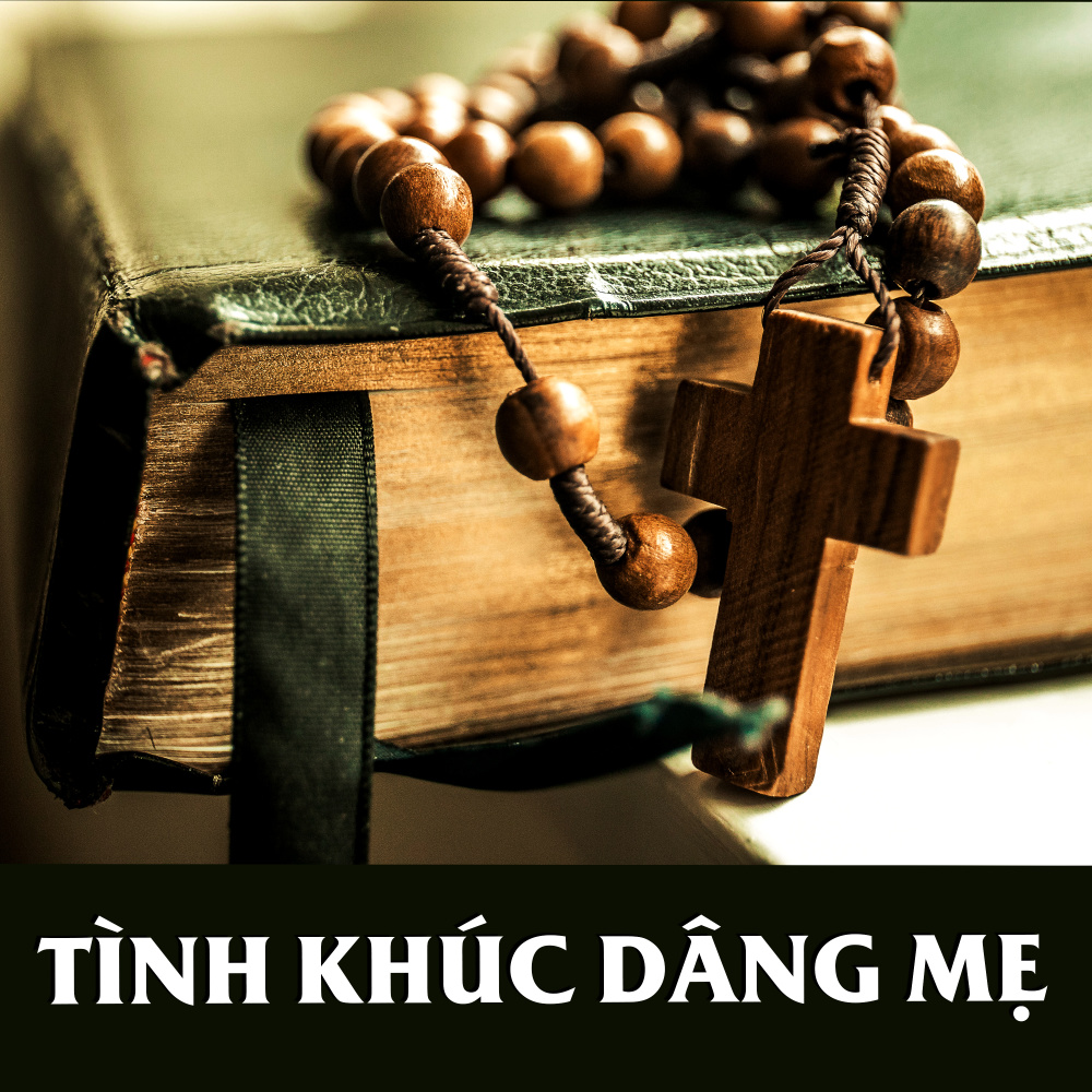 Xin Tiến Dâng Về Mẹ