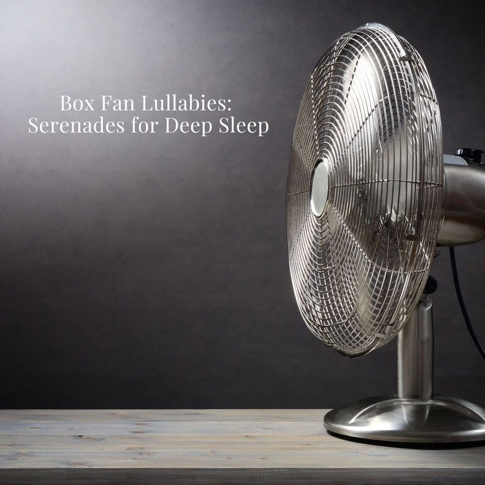 Tranquil Whispers: Box Fan's Soothing Repertoire