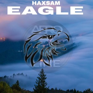 Album Eagle from 