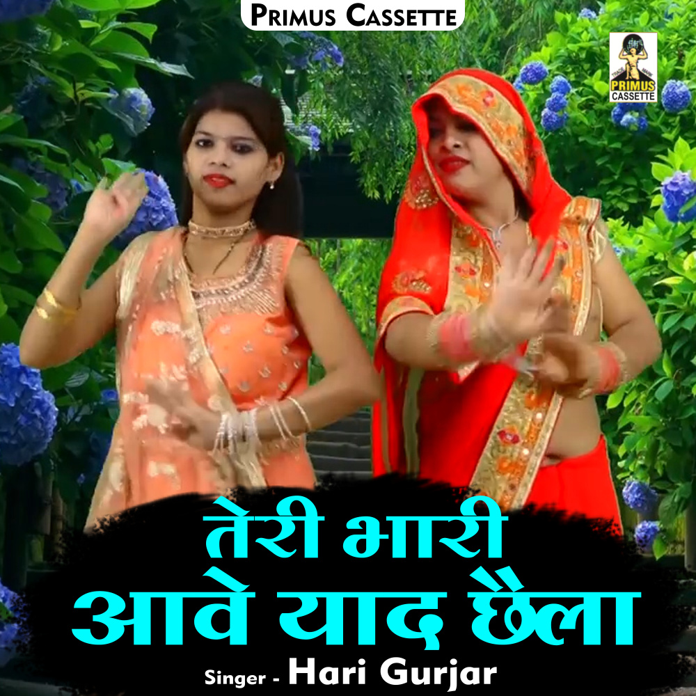 Teri Bhari Aave Yaad Chhaila (Hindi)