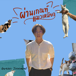 Listen to ผ่านเกณฑ์แมวเหมียว song with lyrics from GreeN Jinnarat
