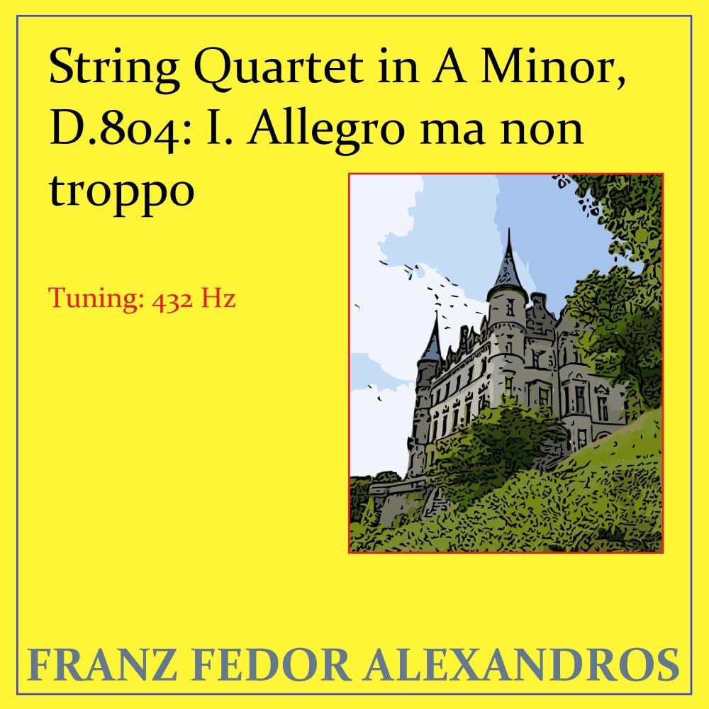 String Quartet in A Minor, D.804: I. Allegro ma non troppo