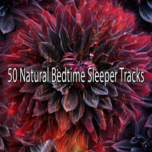 ดาวน์โหลดและฟังเพลง Ambient Bedroom พร้อมเนื้อเพลงจาก Baby Sleep