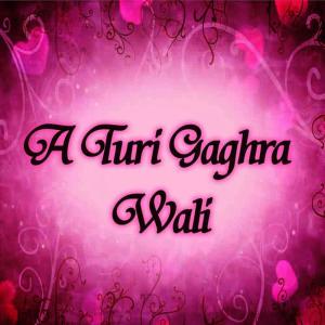 ดาวน์โหลดและฟังเพลง Ghagra Wali พร้อมเนื้อเพลงจาก Vinod Joshi